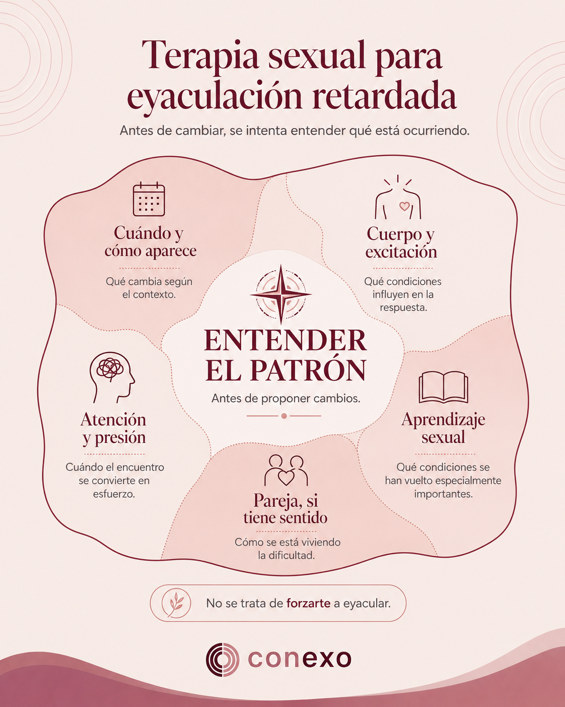 Infografía Causas de la eyaculación retardada